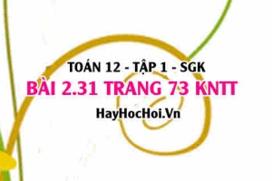 Bài 2.31 trang 73 Toán 12 tập 1 Kết nối tri thức